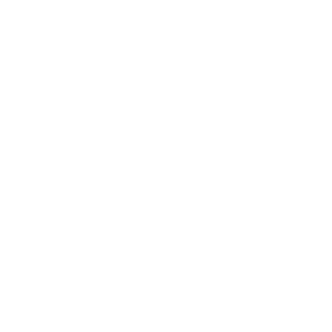 logo pneumatique